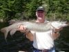 dimuskie