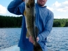 walleye4